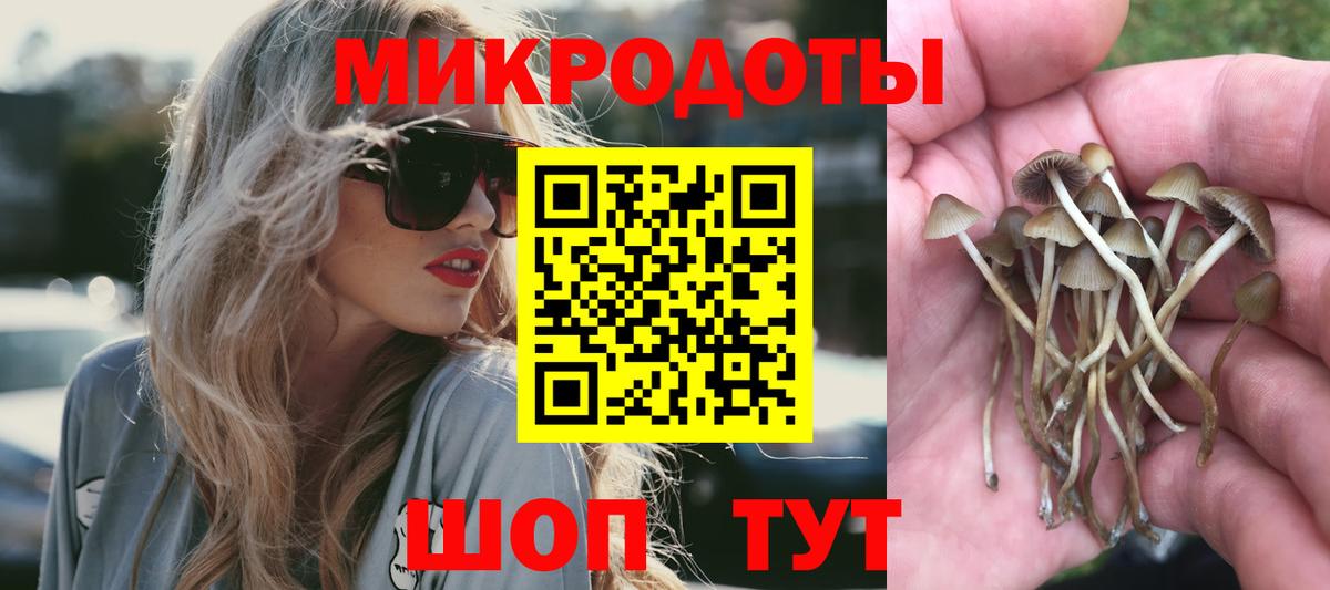 Галлюциногенные грибы Psilocybe Фурманов